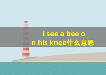 i see a bee on his knee什么意思